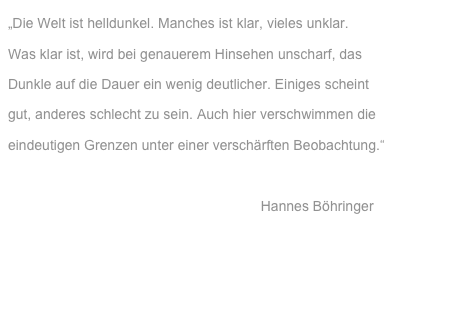 „Die Welt ist helldunkel. Manches ist klar, vieles unklar.
Was klar ist, wird bei genauerem Hinsehen unscharf, das 
Dunkle auf die Dauer ein wenig deutlicher. Einiges scheint 
gut, anderes schlecht zu sein. Auch hier verschwimmen die
eindeutigen Grenzen unter einer verschärften Beobachtung.“

                                                                 Hannes Böhringer
